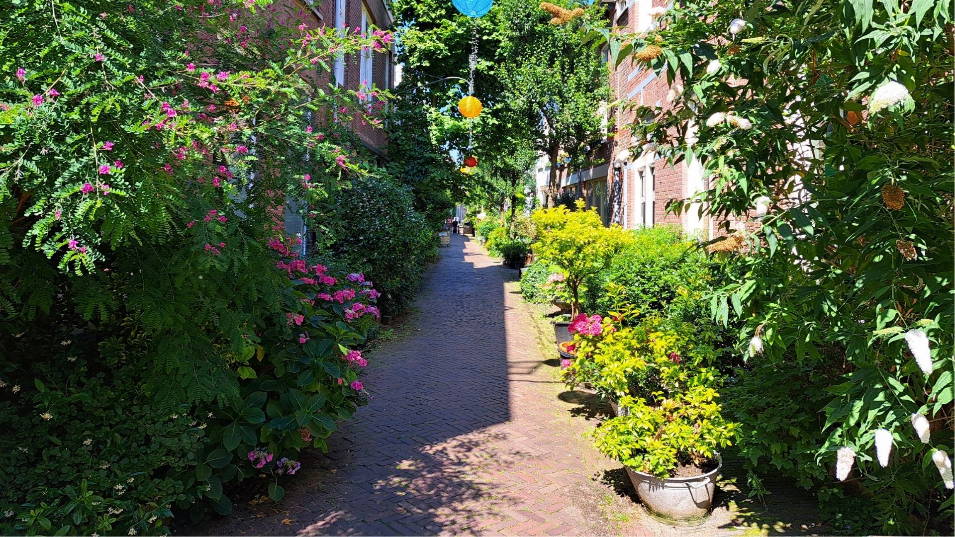 Haarlem Vijfhoek Groenste Straatje